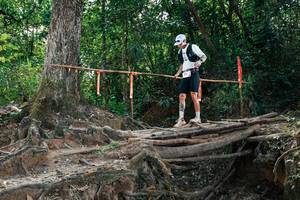 BIB: 
                            <button type="button" onclick="openModal(27801889)" class="btn btn-primary btn-sm float-right btn-popup" data-toggle="modal" data-target=".modal-high-quality">
                        <i class="fas fa-shopping-cart"></i> Add to Cart
                    </button>
                                            <button type="button" onclick="isThisMe(27801889, true)" class="btn btn-success btn-sm float-right btn-popup btn-isme hidden" data-toggle="tooltip" data-placement="bottom" title="นี่คือรูปของคุณใช่ไหม คลิกที่นี่เพื่อเอาเข้าอัลบั้ม">
                        <i class="fas fa-plus"></i> Add to album
                    </button>
                    <button type="button" onclick="isThisMe(27801889, false)" class="btn btn-warning btn-sm float-right btn-popup btn-isnotme hidden">
                        <i class="fas fa-ban"></i> Remove from album
                    </button>